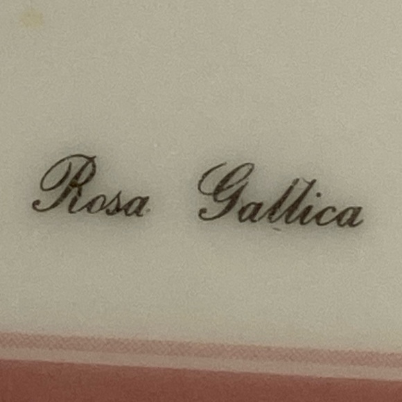 2 small red flower tray Rosa Gallica PT Redoute Design Imports art coaster Italy - Picture 8 of 15